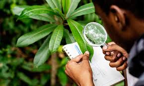 Gestion des Parasites et Maladies