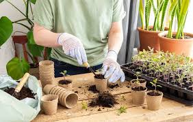 Plantation et Semis en intérieur
